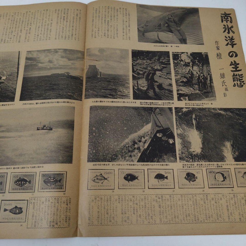 Used book Sea and Sky Graph, 1950, partially torn. QQCNWZ eBay