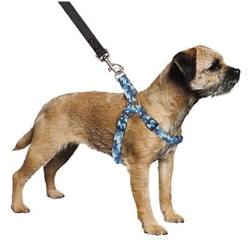 medium size dog harness