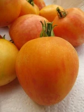Neon Peach - tomato looks just like a ripe peach