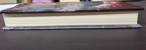 The Queen of Nothing by Holly Black 1st Edition 1st Print Barnes & Noble Ed. HC - Imagen 4 de 7