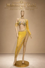 Professional Egyptian Belly Dance Bra Skirt Set Crystal Rhinestone Costume