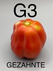 graine / seed tomate taille grosse variété GEZAHNTE