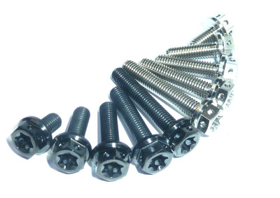 KTM STYLE M5x30 TWIN DRIVE TITANIUM RACE SPEC BOLTS SCREWS No Rust 0025050306