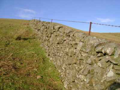 Foto 6x4 Stachelmauer Glenbuck\/NS7429 Trockensteinmauer gekrönt mit Unnässen um 2009