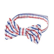 Mud Pie Boys Red and Blue Plaid Bow Tie One Size