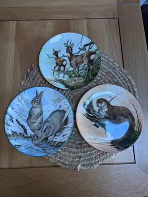 The Waters Edge Teller Wedgewood Bone China