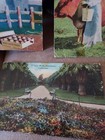 vintage 1900's Thanksgiving Postcards Posted & Unposted stamps Embossed Turkey — photo 4
