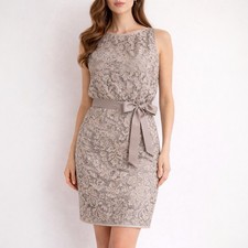 Tadashi Shoji Gray Lace Sheath Dress Sz 8 Boatneck Quiet Luxury Ribbon Belt Zip