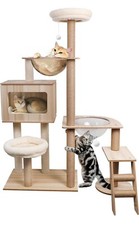 Cat Tree for indoor cat