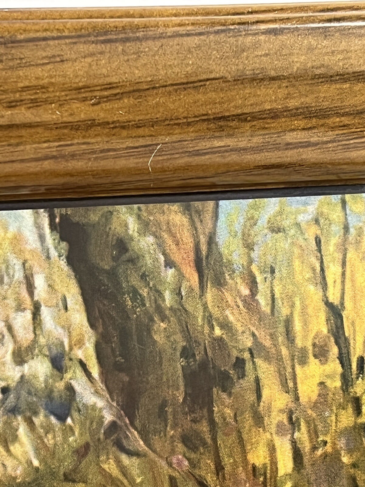 Picture 10 of 17