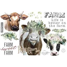 Re-Design with Prima Transfer - GOLDEN FIELDS FARM