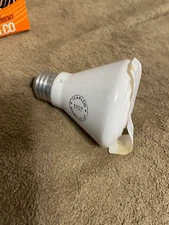 Reptile Ceramic Infrared Heat Emitter, 110V 100W Infrared Bulb for Reptile Pet