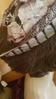 Bild 7 von 9