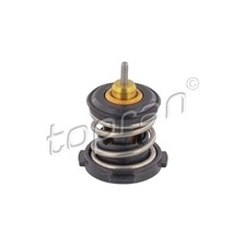 Thermostat Audi Q2