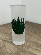 "Recuerdo Cabo Wabo Sammy Agar Tequila Cactus Shot Glass De colección usado 4"" de alto"