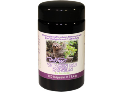Robert Franz Vitamin B12 Kapseln 500µg - 120 Kapseln