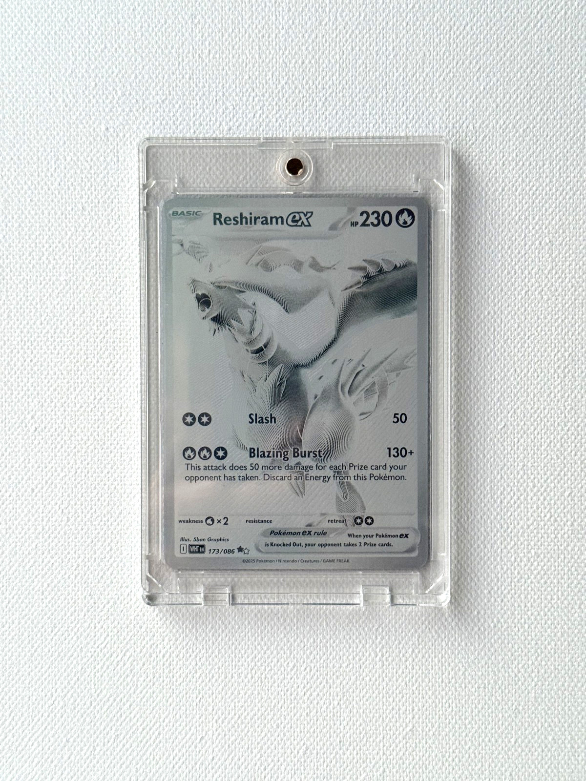 Reshiram ex 173/086 Sv: White Flare Holo (FREE SHIPPING)