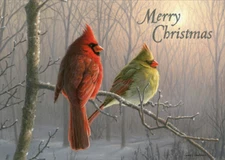 Cardinals on Branch LPG Greetings Christmas Card