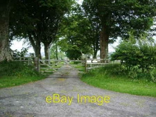 Photo 6x4 Entrance and road to Bird house Whitrigg/NY2038  c2007