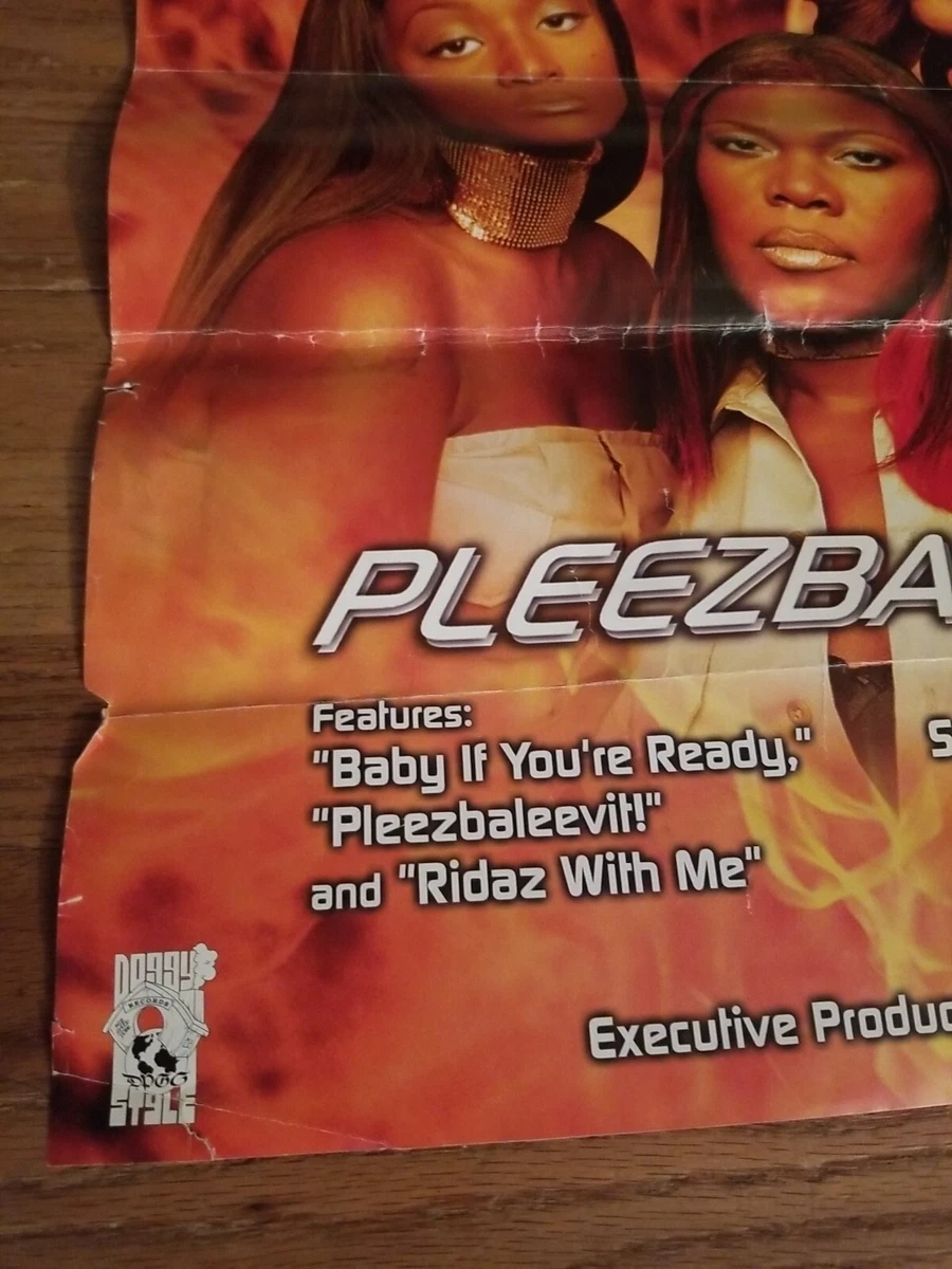 Snoop Dogg Presents Doggys Angels Poster Doggy Stule Records TVT Soopafly  Rare | eBay