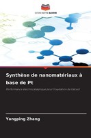 Yangping Zhang | SynthèSe De NanomatéRiaux à Base De Pt | Taschenbuch (2025)