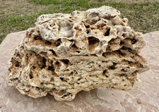 GORGEOUS* 12# Crystallized Fossil Coral Reef Rock~Brilliant Druzy Sparkle