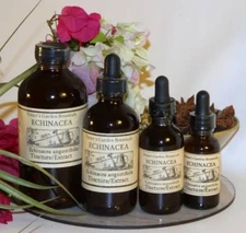 ECHINACEA Root Extract boost cold defense flu kill Organic Folk Remedy Tincture 