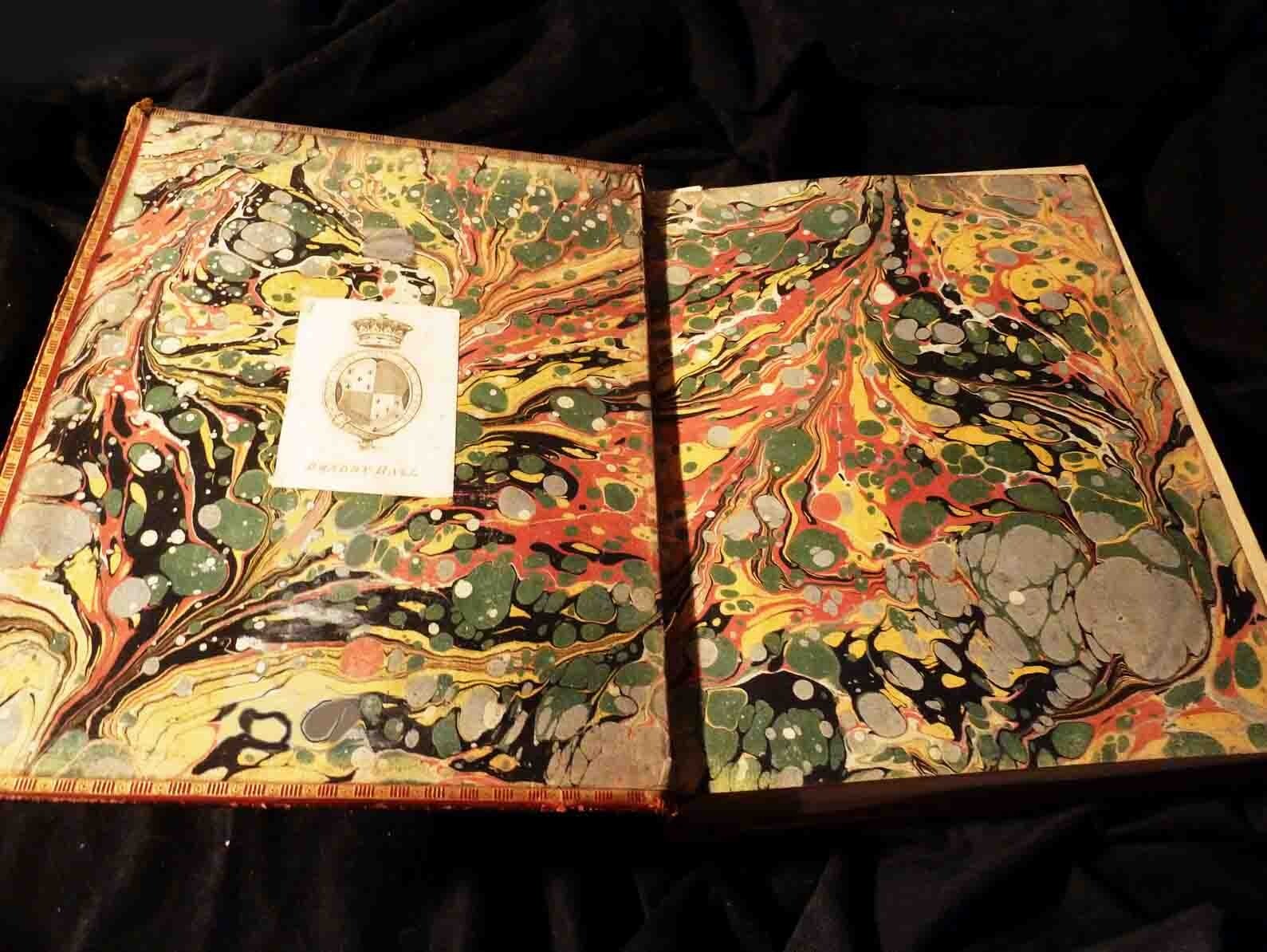 Picture 6 of 19