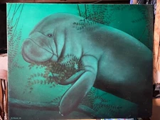 Manatee canvas oil painting 24” X 30”