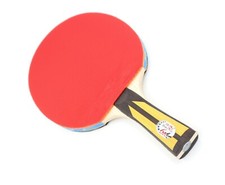Double Fish Premium Ping Pong Table Tennis Pa...
