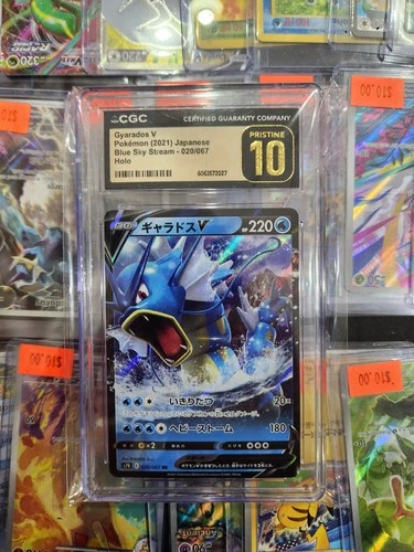 2021 Pokémon Japanese Blue Sky Stream Gyarados V 020/067 CGC Pristine 10