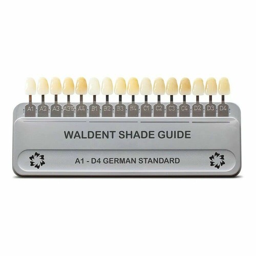 Guide D'ombrage Dentaire 16 Couleurs A1-D4 – Pour Porcelaine, Matériau Durable