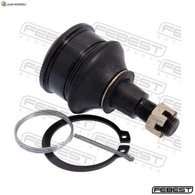 TRAGFÜHRUNGSGELENK 0320-EU FÜR HONDA INTEGRA/SJ/VI CIVIC/VII/VIII/Hatchback/Mk