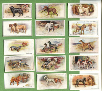 1925 JOHN PLAYER & SONS DOGS 15 DIFFERENT TOBACCO CARD LOT