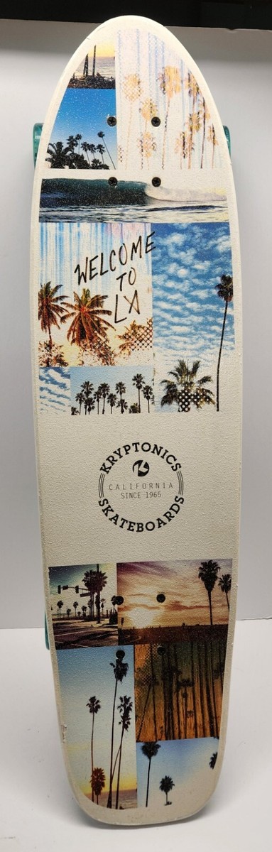 303 サーフボード surfboards small dog Things to Do - Forster