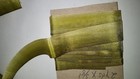 Green Ombre Ribbon Circa 1920 New Old  Stock  #2010 — photo 2