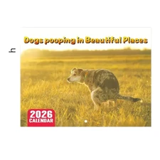 DOGS POOPING IN BEAUTIFUL PLACES 2026 CALENDAR NEW