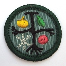 Girl Scout 1963-1974 Junior OBSERVER BADGE Nature Seasons Fruit Snowflake Patch