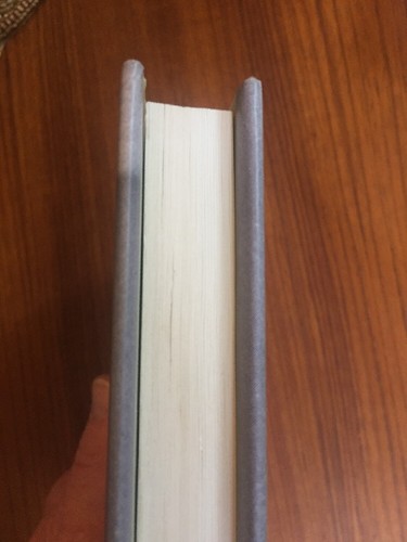 Zoe Wicomb• Playing in the Light (2006 HC) 1st US Edition/1st Printing• RARE! - Picture 8 of 12