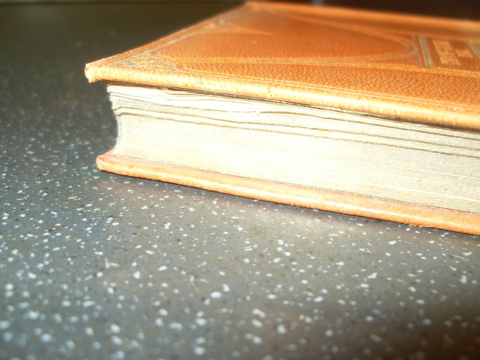 Bild 8 von 8