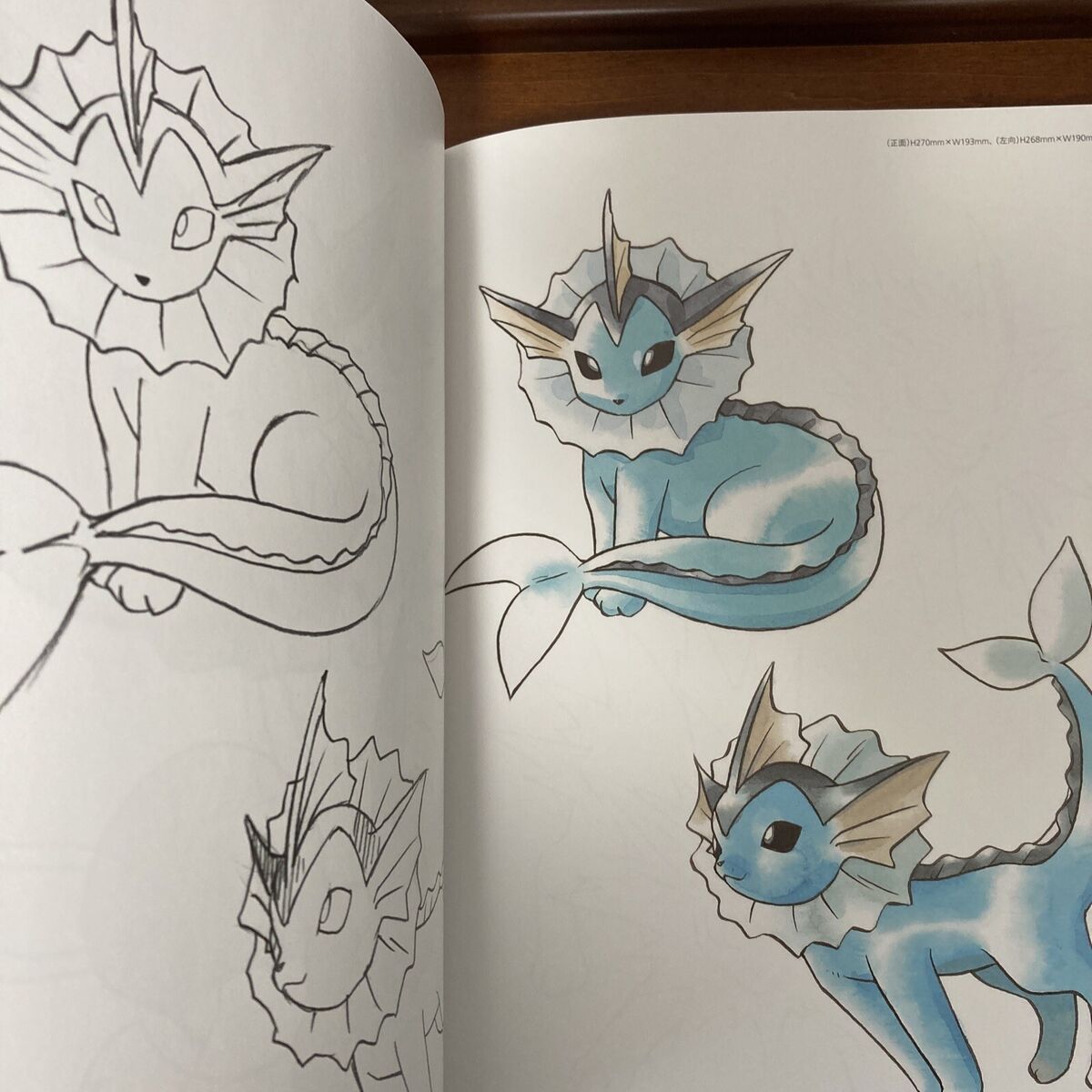 EVs Pokemon Eevee Cafe Art Book Illustration