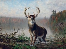 ON THE ALERT by A. Tait animal deer Tile Mural Kitchen Backsplash Marble Ceramic