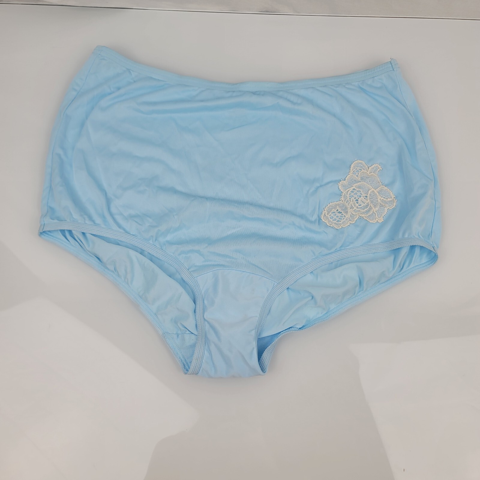 Vanity Fair 100 Nylon Brief Blue Panties Floral 1 PA… Gem