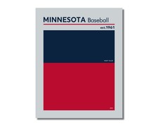 compare to MINNESOTA TWINS Baseball Color Swatch Photo Picture 8x10 11x14 16x20
