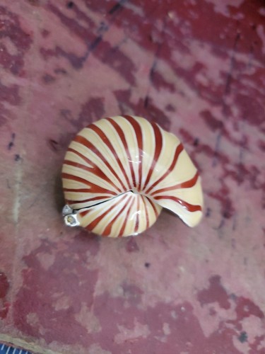 MONET "NAUTILUS SHELL" Collectible Keepsake Trinket Box AG - Picture 9 of 9