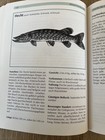 Bild 9 von 9
