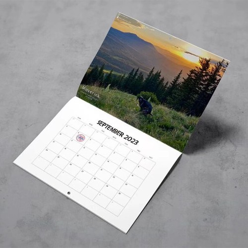 2023 Funny Dog Wall Calendar Dogs Pooping In Beautiful Places Christmas 