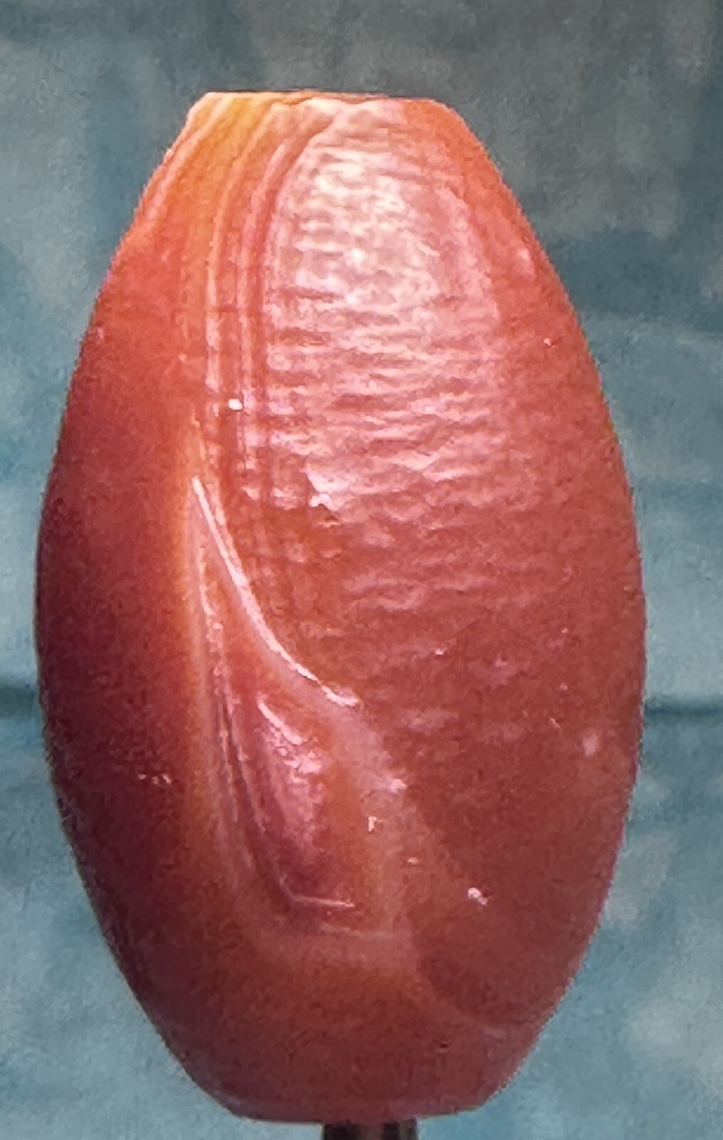 Picture 6 of 13