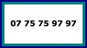 📱☎️ NUMÉRO DE TÉLÉPHONE VIP | FACILE | PRO 📶✅