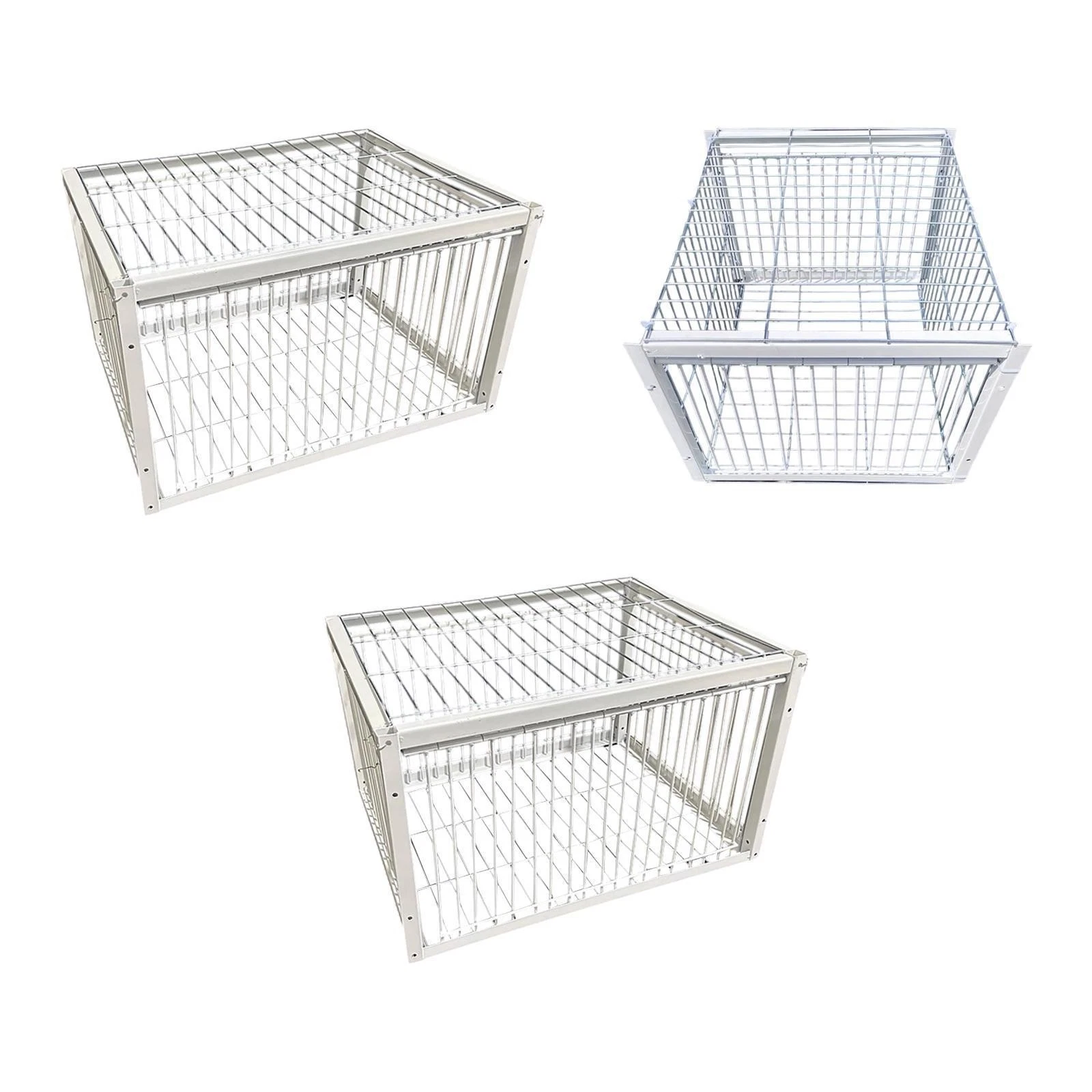 Pigeon Automatic Pigeon Collection Habitat Supplies Easy Assembly Chicken Cage